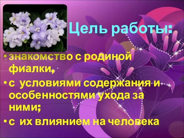 Цель работы: знакомство с родиной фиалки, с условиями содержания и особенностями ухода