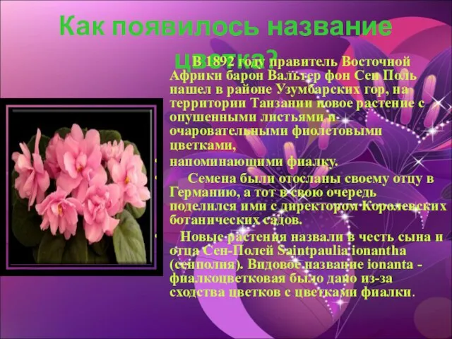 Как появилось название цветка? В 1892 году правитель Восточной Африки барон Вальтер