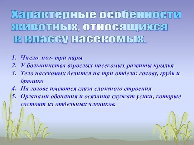 Характерные особенности животных, относящихся к классу насекомых. Число ног- три пары У