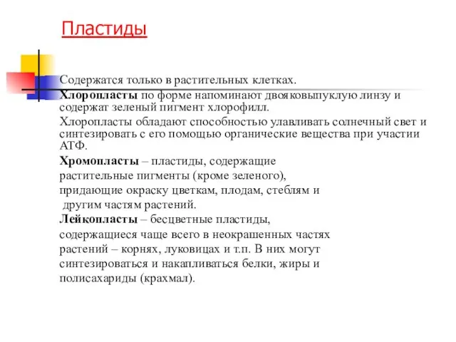 Пластиды Содержатся только в растительных клетках. Хлоропласты по форме напоминают двояковыпуклую линзу