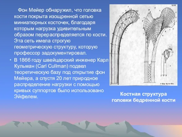 Фон Мейер обнаружил, что головка кости покрыта изощренной сетью миниатюрных косточек, благодаря