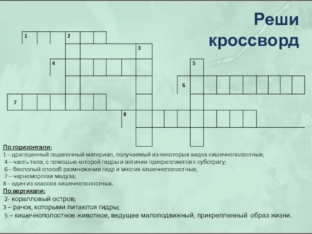 По горизонтали: 1 – драгоценный поделочный материал, получаемый из некоторых видов кишечнополостных;