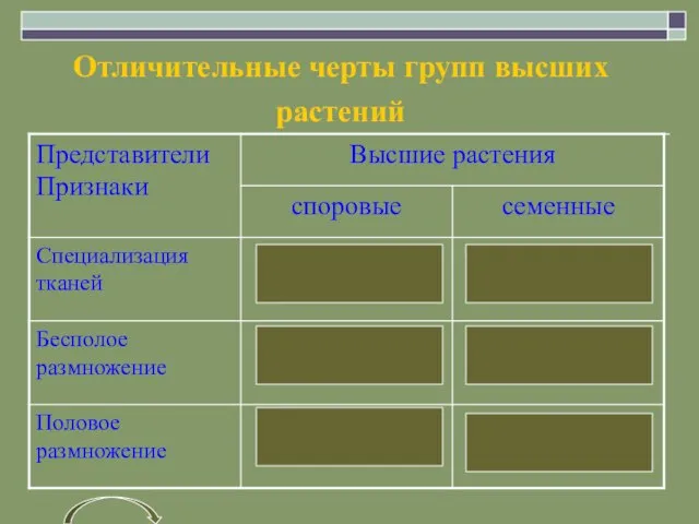 Отличительные черты групп высших растений