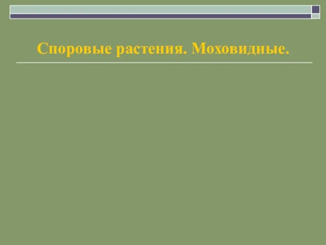 Споровые растения. Моховидные.