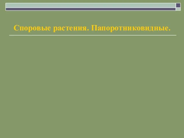 Споровые растения. Папоротниковидные.