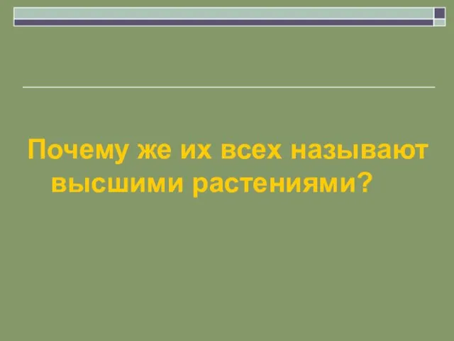 Почему же их всех называют высшими растениями?