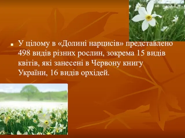 У цілому в «Долині нарцисів» представлено 498 видів різних рослин, зокрема 15