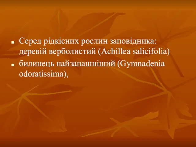 Серед рiдкicних рослин заповідника: деревій верболистий (Achillea salicifolia) билинець найзапашніший (Gymnadenia odoratissima),