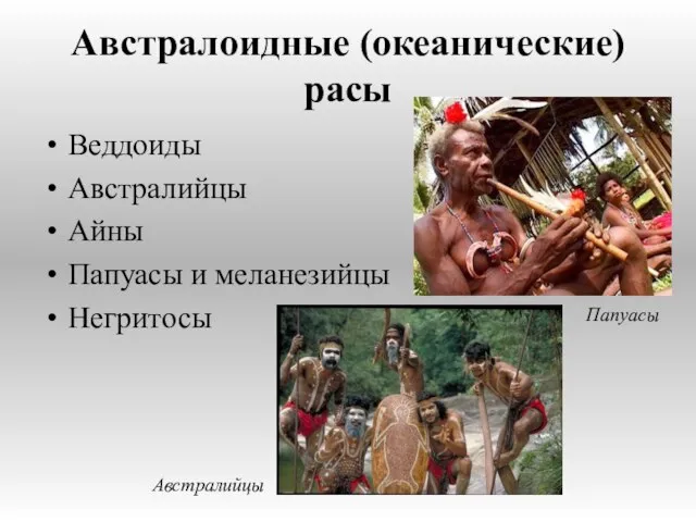 Австралоидные (океанические) расы Веддоиды Австралийцы Айны Папуасы и меланезийцы Негритосы Папуасы Австралийцы