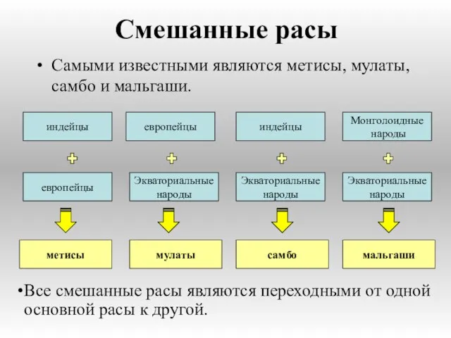 Смешанные расы Самыми известными являются метисы, мулаты, самбо и мальгаши. европейцы индейцы