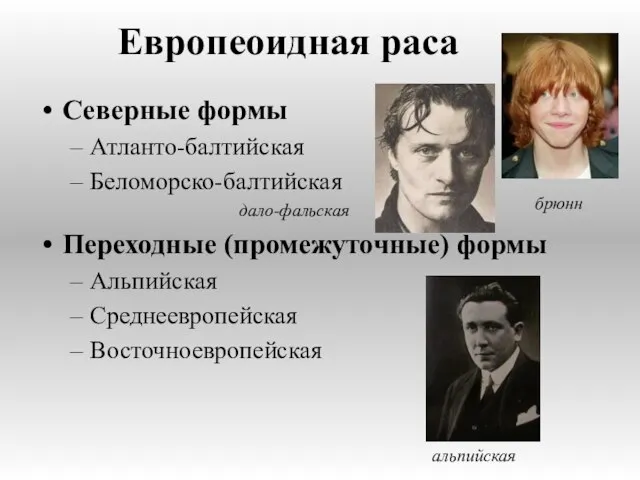 Европеоидная раса Северные формы Атланто-балтийская Беломорско-балтийская дало-фальская Переходные (промежуточные) формы Альпийская Среднеевропейская Восточноевропейская брюнн альпийская