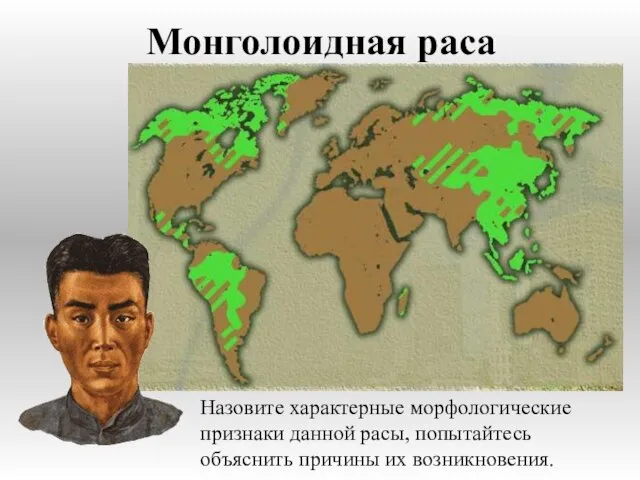 Монголоидная раса Назовите характерные морфологические признаки данной расы, попытайтесь объяснить причины их возникновения.