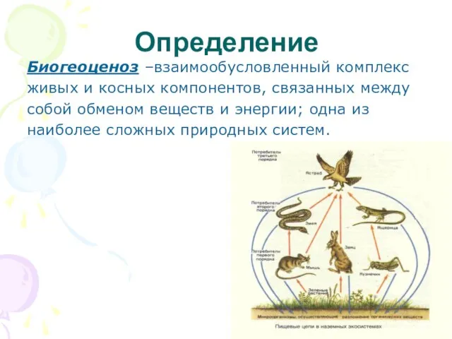 Определение Биогеоценоз –взаимообусловленный комплекс живых и косных компонентов, связанных между собой обменом