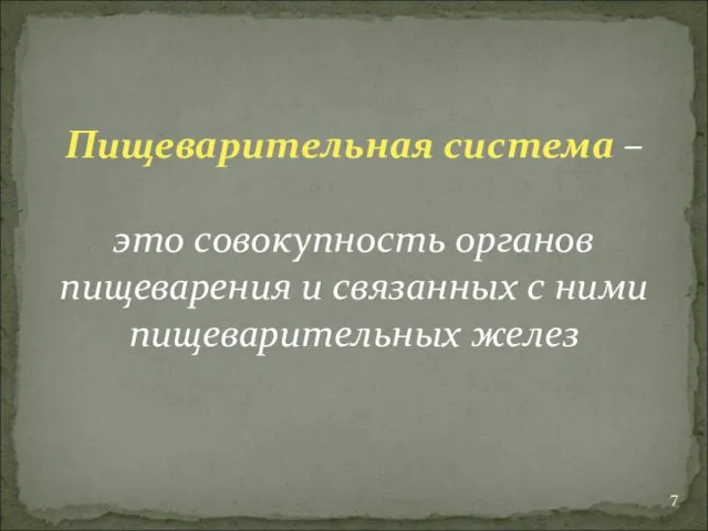 Пищеварительная система – это совокупность органов пищеварения и связанных с ними пищеварительных желез