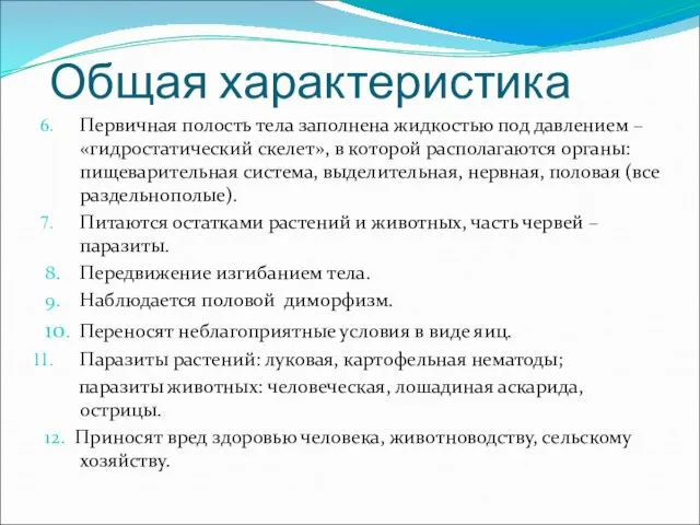 Общая характеристика Первичная полость тела заполнена жидкостью под давлением – «гидростатический скелет»,