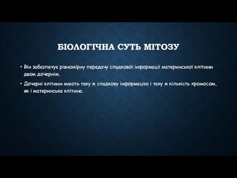 Біологічна суть мітозу Він забезпечує рівномірну передачу спадкової інформаціі материнської клітини двом