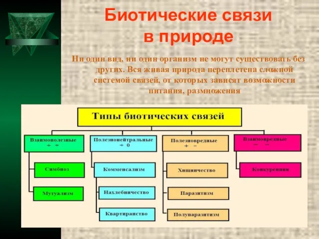 Биотические связи в природе Ни один вид, ни один организм не могут