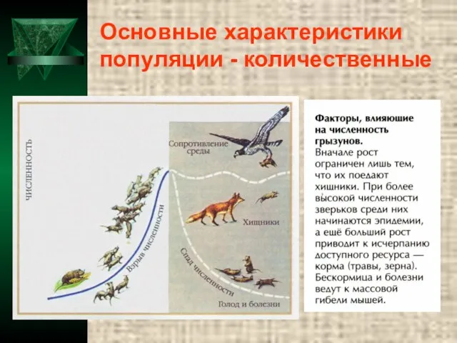 Основные характеристики популяции - количественные