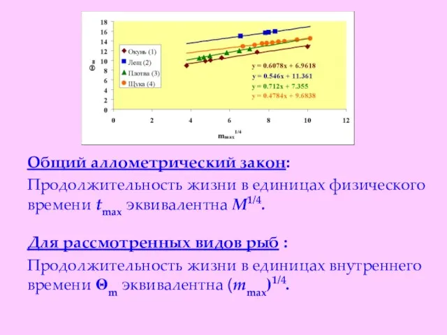 Общий аллометрический закон: Продолжительность жизни в единицах физического времени tmax эквивалентна М1/4.