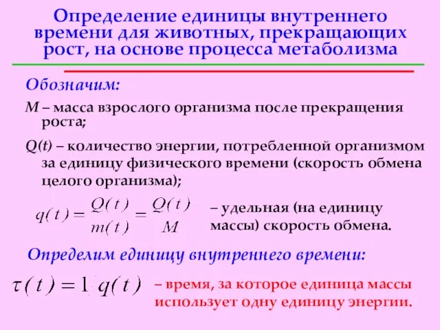 Определение единицы внутреннего времени для животных, прекращающих рост, на основе процесса метаболизма