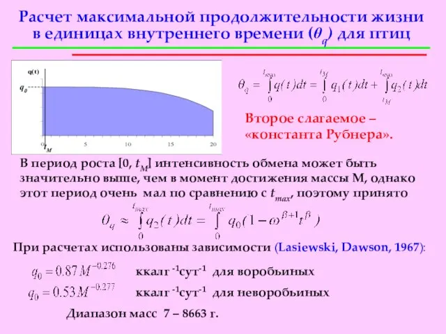 Расчет максимальной продолжительности жизни в единицах внутреннего времени (θq) для птиц q0