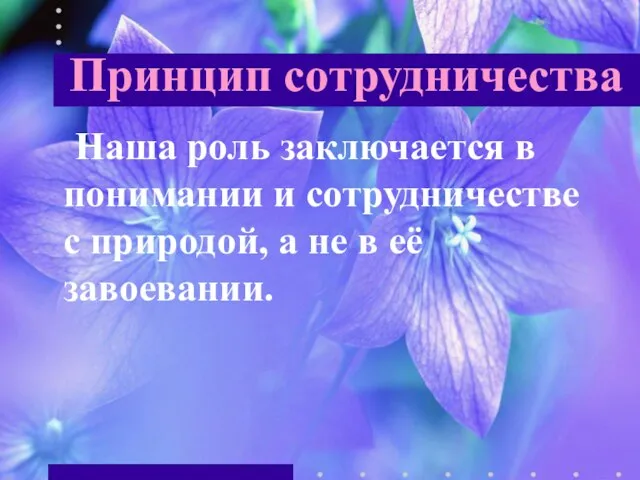 Принцип сотрудничества Наша роль заключается в понимании и сотрудничестве с природой, а не в её завоевании.