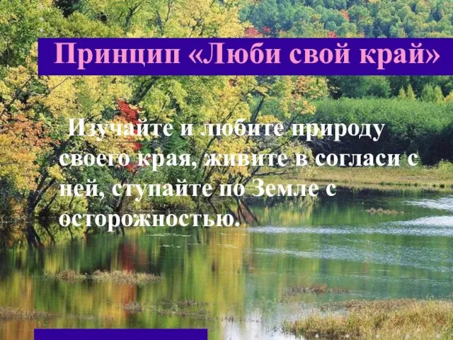 Принцип «Люби свой край» Изучайте и любите природу своего края, живите в