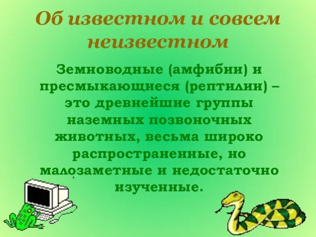 Земноводные (амфибии) и пресмыкающиеся (рептилии) – это древнейшие группы наземных позвоночных животных,