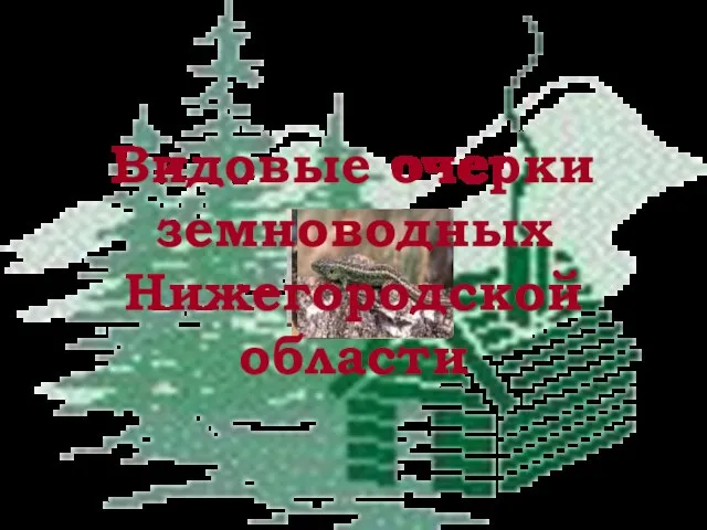 Видовые очерки земноводных Нижегородской области