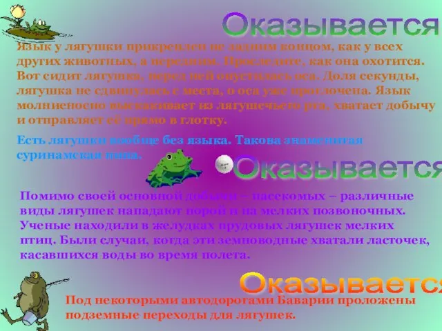 Есть лягушки вообще без языка. Такова знаменитая суринамская пипа. Язык у лягушки