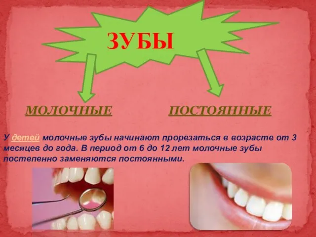 У детей молочные зубы начинают прорезаться в возрасте от 3 месяцев до