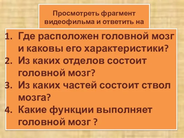 Просмотреть фрагмент видеофильма и ответить на вопросы: Где расположен головной мозг и