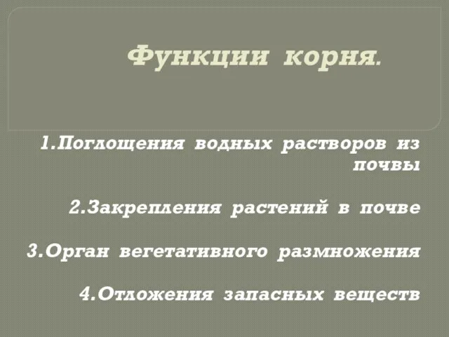 Функции корня. 1.Поглощения водных растворов из почвы 2.Закрепления растений в почве 3.Орган