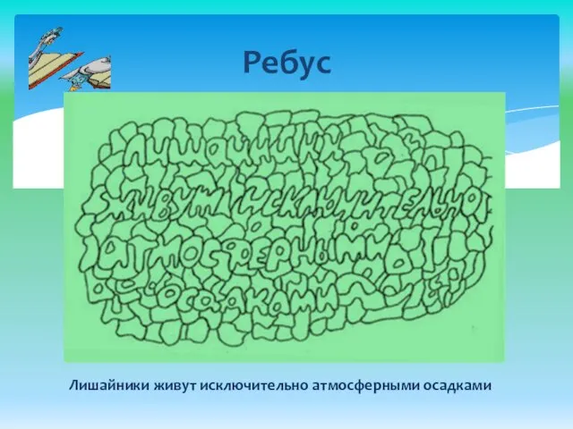 Ребус Лишайники живут исключительно атмосферными осадками