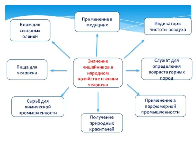 Значение лишайников в народном хозяйстве и жизни человека Служат для определения возраста