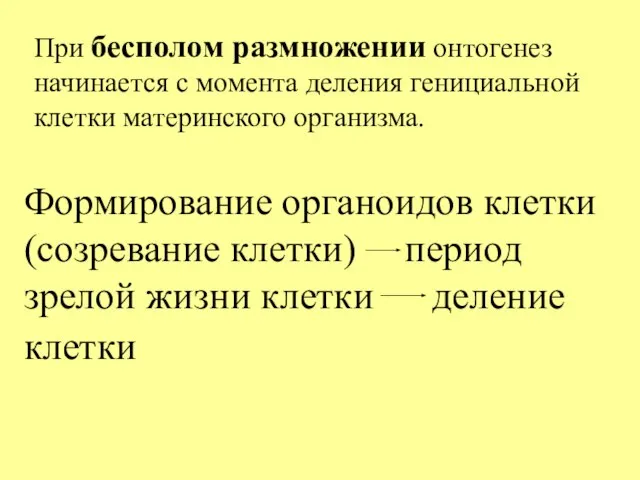 При бесполом размножении онтогенез начинается с момента деления генициальной клетки материнского организма.