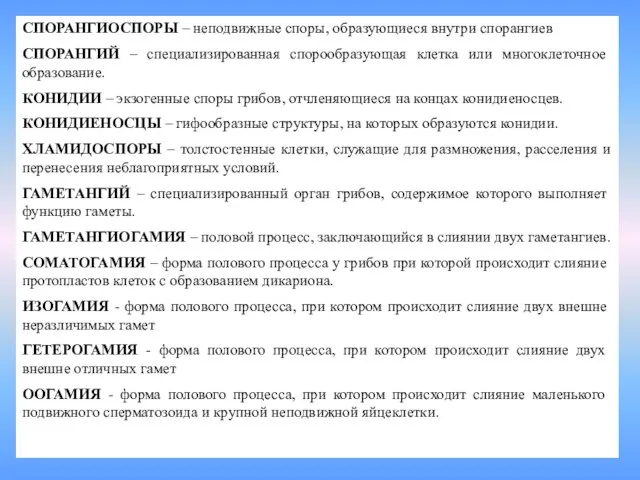 СПОРАНГИОСПОРЫ – неподвижные споры, образующиеся внутри спорангиев СПОРАНГИЙ – специализированная спорообразующая клетка