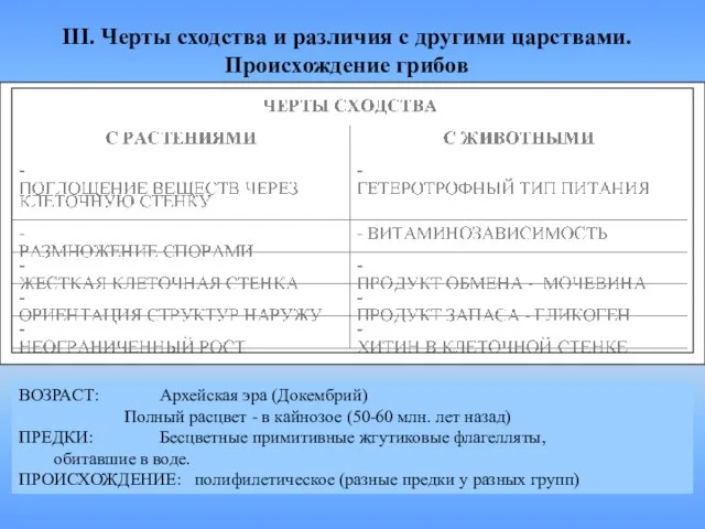 III. Черты сходства и различия с другими царствами. Происхождение грибов ВОЗРАСТ: Архейская