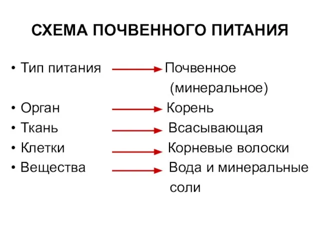 СХЕМА ПОЧВЕННОГО ПИТАНИЯ Тип питания Почвенное (минеральное) Орган Корень Ткань Всасывающая Клетки