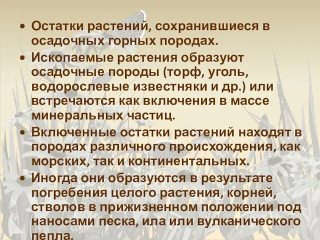 Остатки растений, сохранившиеся в осадочных горных породах. Ископаемые растения образуют осадочные породы