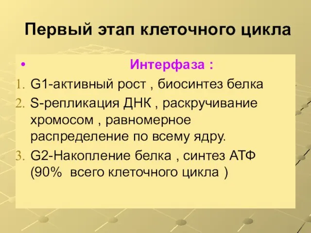 Первый этап клеточного цикла Интерфаза : G1-активный рост , биосинтез белка S-репликация