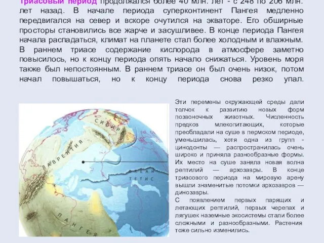 Триасовый период продолжался более 40 млн. лет - с 248 по 206