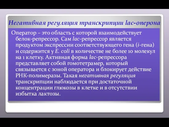 Негативная регуляция транскрипции lac-оперона Оператор – это область с которой взаимодействует белок-репрессор.