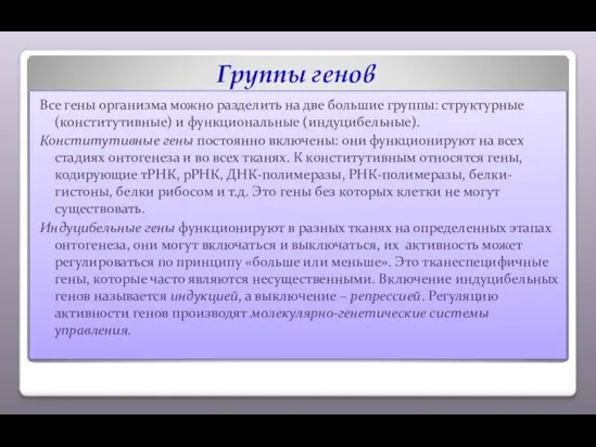 Группы генов Все гены организма можно разделить на две большие группы: структурные