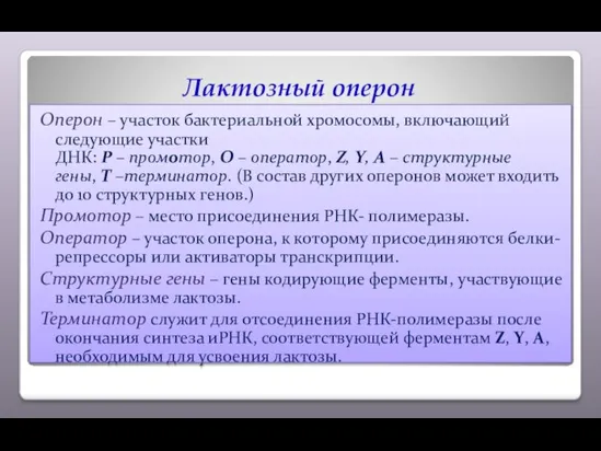 Лактозный оперон Оперон – участок бактериальной хромосомы, включающий следующие участки ДНК: Р