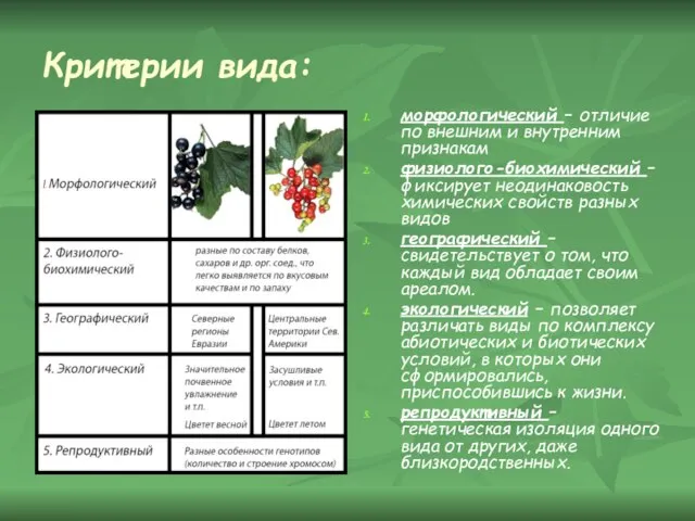 Критерии вида: морфологический – отличие по внешним и внутренним признакам физиолого-биохимический –