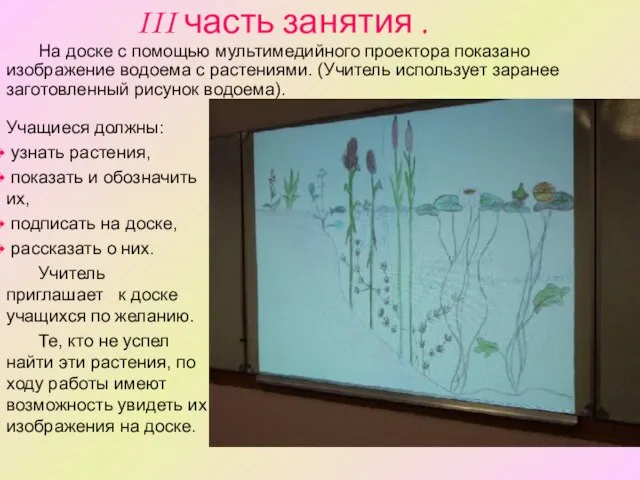 III часть занятия . Учащиеся должны: узнать растения, показать и обозначить их,