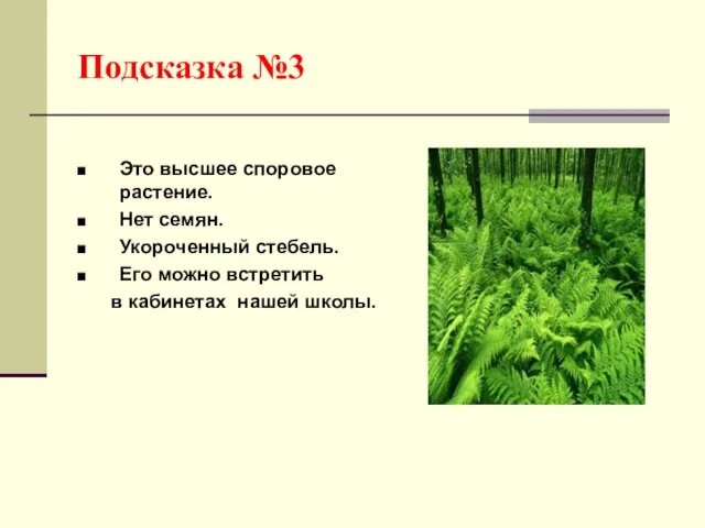 Подсказка №3 Это высшее споровое растение. Нет семян. Укороченный стебель. Его можно