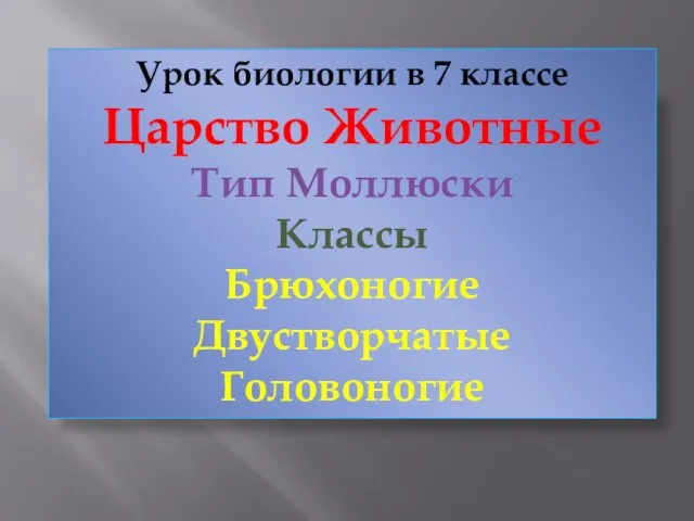 Урок биологии в 7 классе Царство Животные Тип Моллюски Классы Брюхоногие Двустворчатые Головоногие