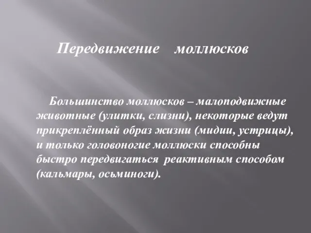 Передвижение моллюсков Большинство моллюсков – малоподвижные животные (улитки, слизни), некоторые ведут прикреплённый